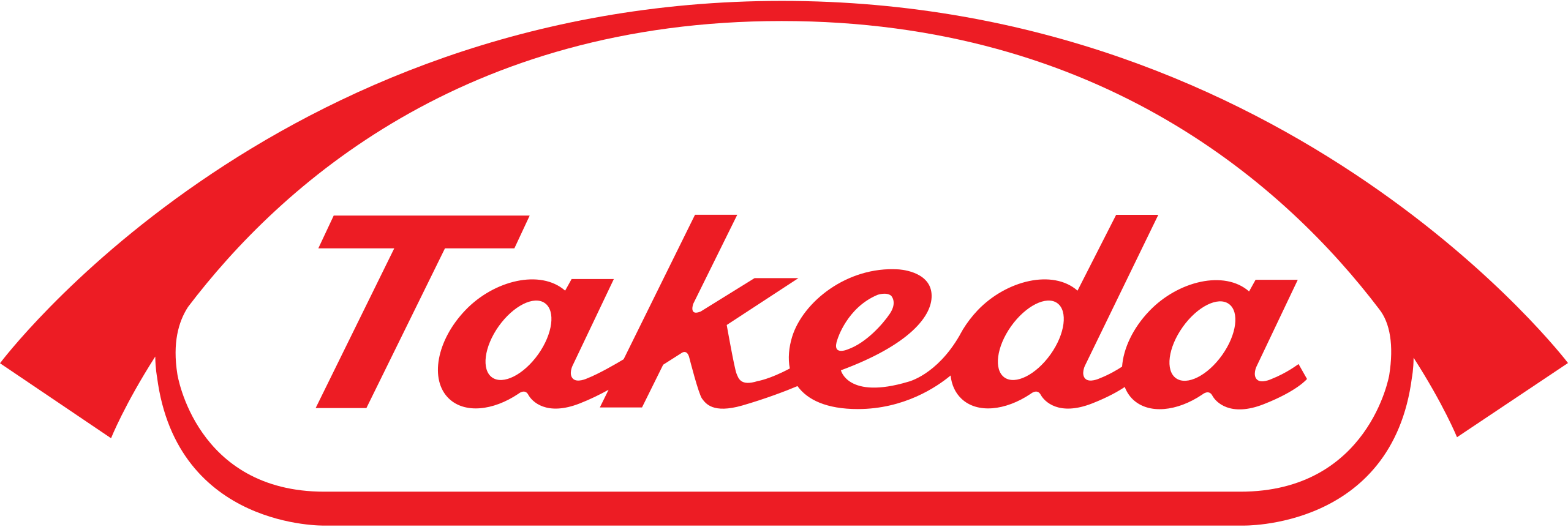 Head of Ethics & Compliance and Group Internal Audit IT, Global IT, Takeda Pharmaceuticals International